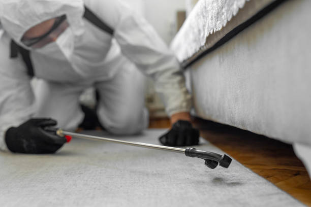 Professional Termite Control technician working in Perryville, MD