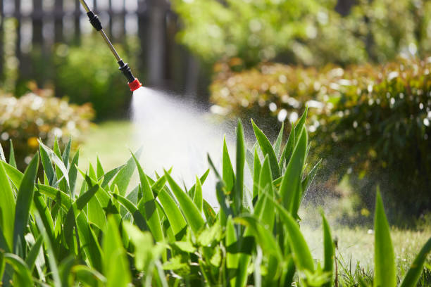 24/7 Emergency Termite Control experts in Perryville, MD