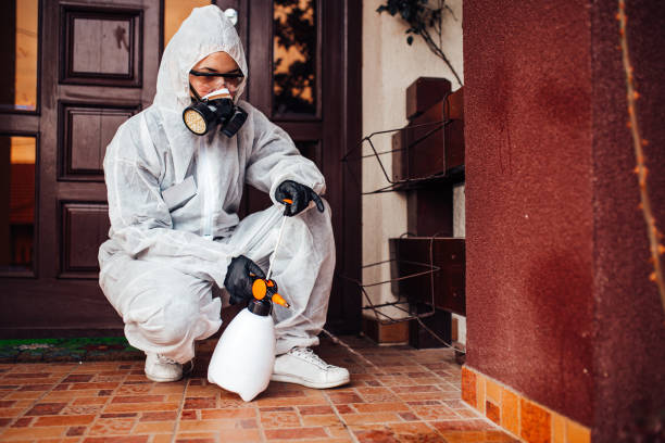 Reliable Termite Control contractor in Perryville, MD by Nex Pest Control