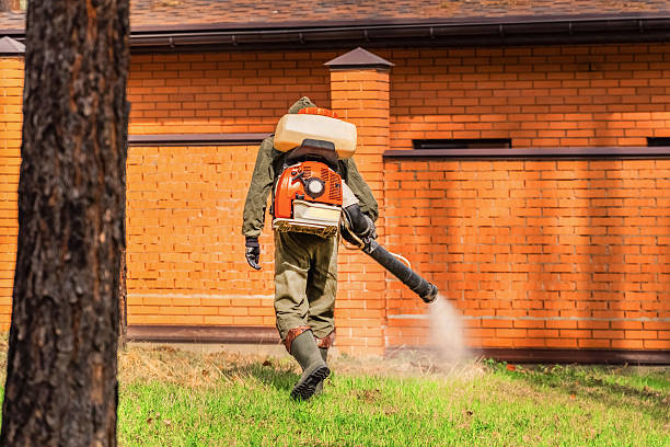 Top rated local Termite Control specialists in Perryville, MD
